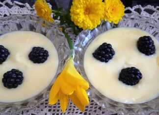 Κρέμα Βανίλιας με βατόμουρα