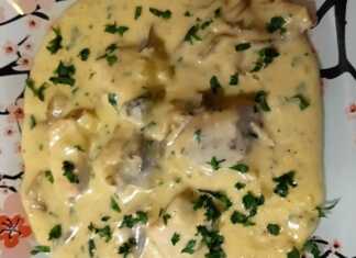 Φιλέτο γαλοπούλας με κρέμα γάλακτος και μανιτάρια