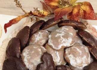 Μπισκοτα μαλακά τζιντζερμπρεατ