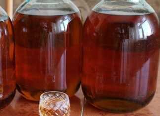 Σπιτικό κονιάκ