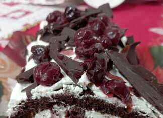 Kορμός "black forest"