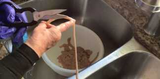 Πως πλένουμε τα εντερα για την μαγειρίτσα….για τους αρχάριους