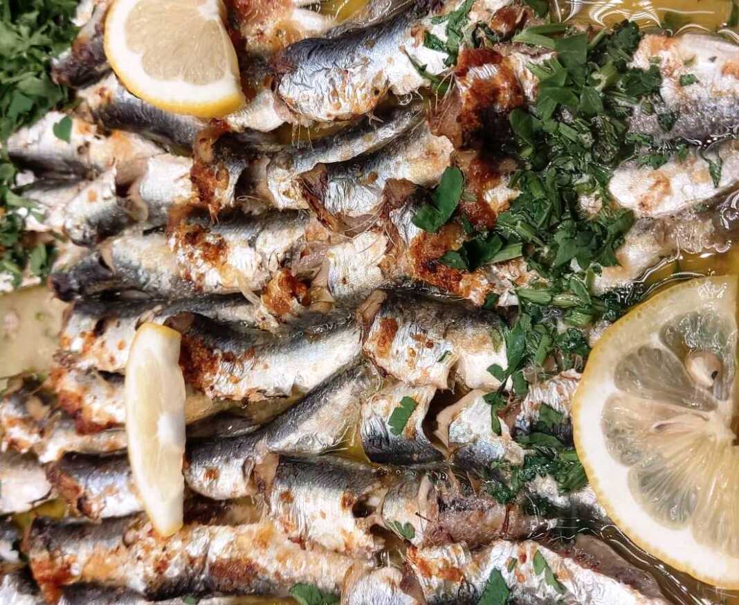 Γαύρος Λαδοριγανάτος