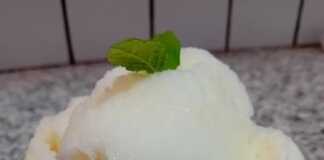 Σορμπέ Λεμονιού