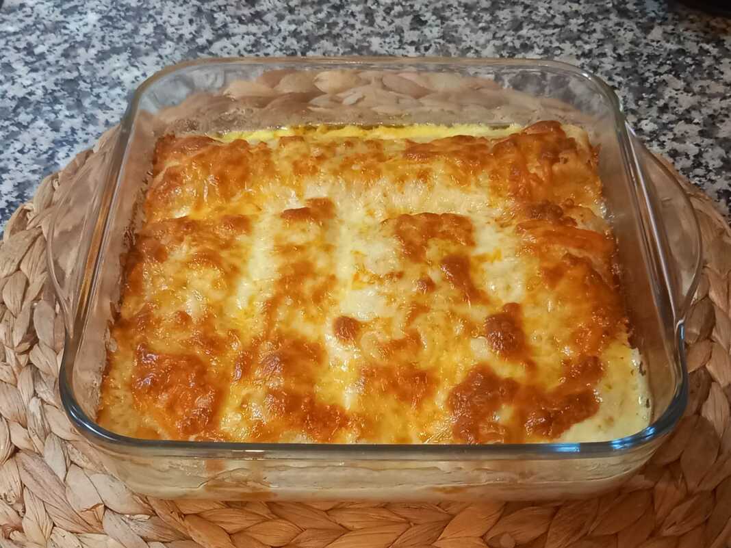 tortigies me kotopoulo