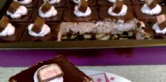 Πάστα ταψιού Lila Pause