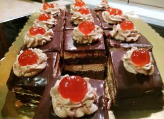 Ένα κομμάτι πλούσιας σοκολατένιας πάστας ταψιού με στρώσεις παντεσπανιού, κρέμας και γλάσου σοκολάτας.