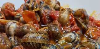 Σαλιγκάρια Κοκκινιστά