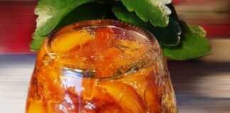 Γλυκό του κουταλιού Πορτοκάλι