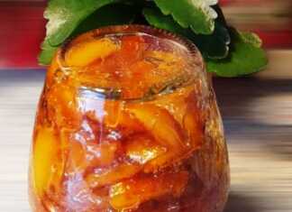 Γλυκό του κουταλιού Πορτοκάλι