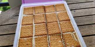 Σπιτικά παγωτά σάντουιτς στρατσατέλα με στρώσεις από μπισκότα πτι-μπερ και κρεμώδες παγωτό με κομματάκια σοκολάτας.