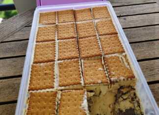 Σπιτικά παγωτά σάντουιτς στρατσατέλα με στρώσεις από μπισκότα πτι-μπερ και κρεμώδες παγωτό με κομματάκια σοκολάτας.