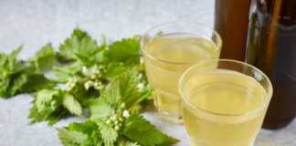 Σιρόπι Τσουκνίδας