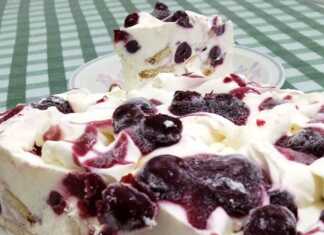 Μια λαχταριστή φέτα από τούρτα παγωτό cheesecake με σάλτσα βύσσινο και θρυμματισμένα μπισκότα.