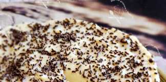 Μπισκοτογλυκό με κρέμα! Μπισκοτογλυκό με κρέμα