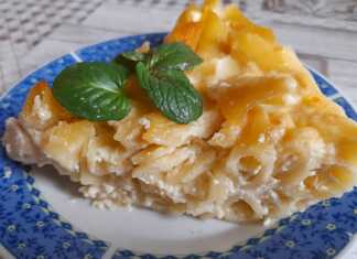 Τεμάχιο από μακαρόνια φούρνου με ριγκατόνι, τυρί και χρυσαφένια κρεμώδη κρούστα.