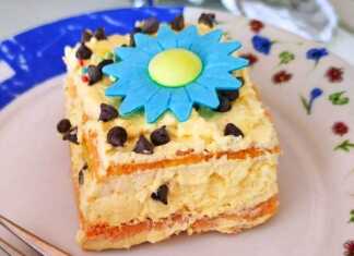 Γλυκάκι με κρέμα και τσιπς σοκολάτας