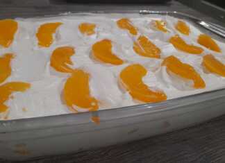 Γλυκό ψυγείου με κομπόστα ροδάκινο