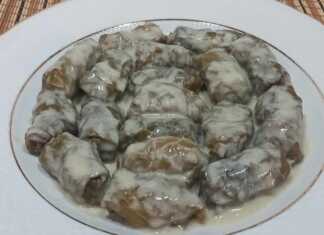 Γιαπράκια με κιμά στην γάστρα