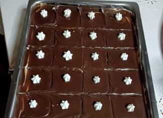 Ένα κομμάτι λαχταριστής πάστας ταψιού με στρώσεις μπισκότων και κρέμας σοκολάτας.