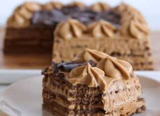 Ένα κομμένο κομμάτι από Αργεντίνικο κέικ, με εμφανή στρώματα ή υφή, σερβιρισμένο σε πιάτο.