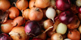 Πώς να ψήσετε σωστά τα κρεμμύδια για να διατηρήσετε όλα τα θρεπτικά συστατικά