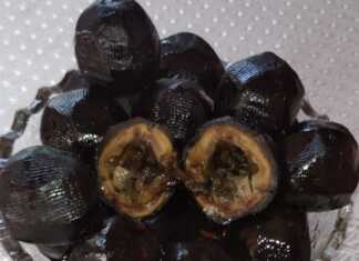 Γλυκό του κουταλιού Καρυδάκι