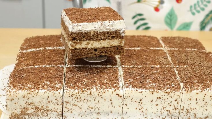 Ένα κομψό κομμάτι κέικ καπουτσίνο με δύο σκούρες στρώσεις παντεσπανιού σοκολάτας, ενδιάμεση παχιά στρώση καφέ κρέμας μασκαρπόνε, καλυμμένο με λευκή σαντιγί και πασπαλισμένο με ψιλοτριμμένη μαύρη σοκολάτα