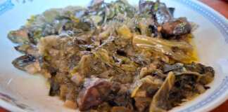 μανιτάρια φρικασέ