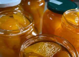 Γλυκό κουταλιού με φλόυδα πορτοκαλιού