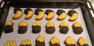 μπισκότα πρέσας