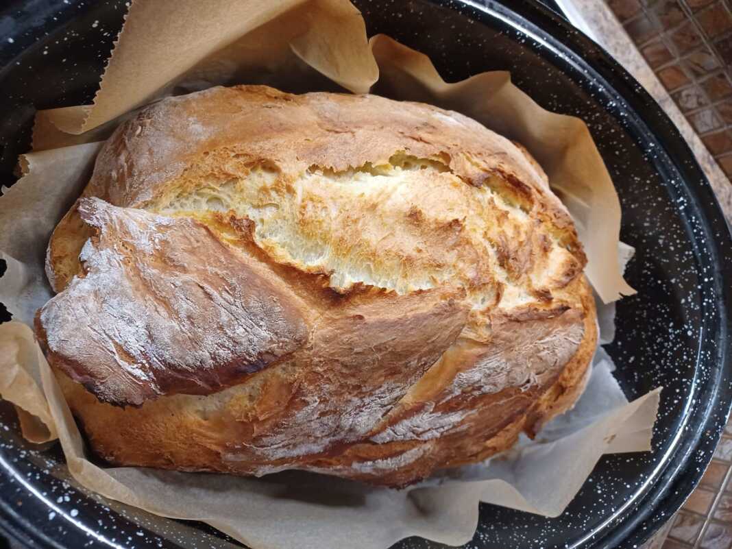 ψωμί γάστρας