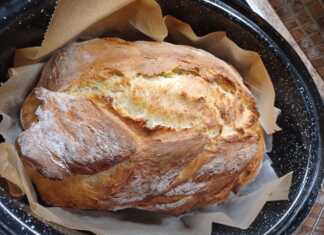 ψωμί γάστρας