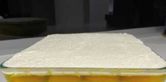 Γλυκό ψυγείου με ροδάκινα