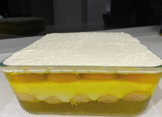 Γλυκό ψυγείου με ροδάκινα