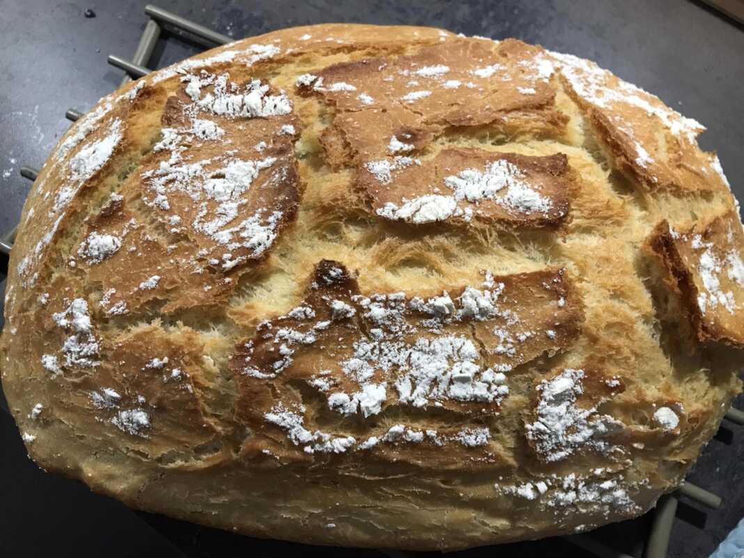 Ψωμί γάστρας