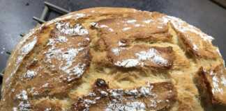 Ψωμί γάστρας