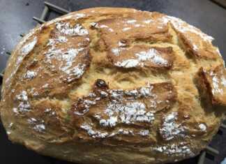 Ψωμί γάστρας