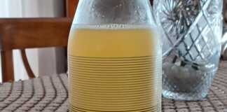 σπιτική λεμονάδα