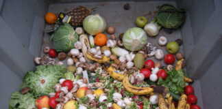 Φαγητό στα Σκουπίδια; Όχι Πια!