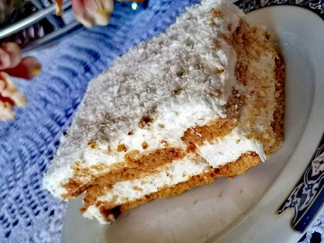 μπισκοτογλυκό με κρέμα και ινδοκάρυδο