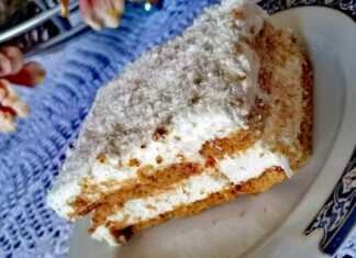 μπισκοτογλυκό με κρέμα και ινδοκάρυδο