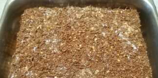 Γλυκό ψυγείου με μπισκότα