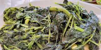 σαλάτα με άγρια χόρτα