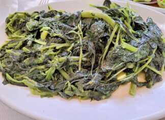 σαλάτα με άγρια χόρτα