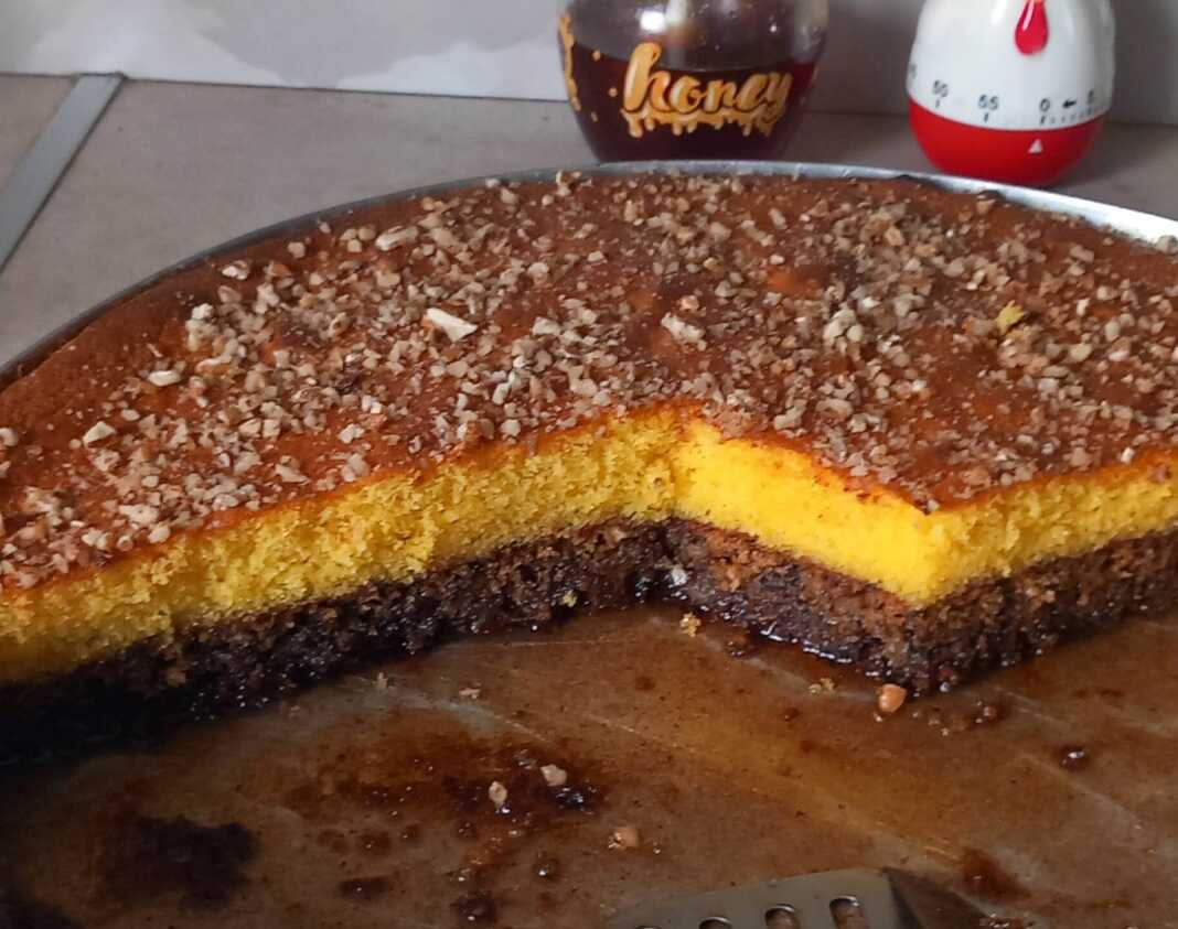 δίχρωμο ρεβανί