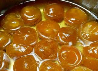 γλυκό βερίκοκο