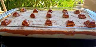 κρέμα με ινδοκάρυδο