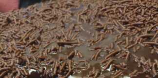 σοκολατόπιτα