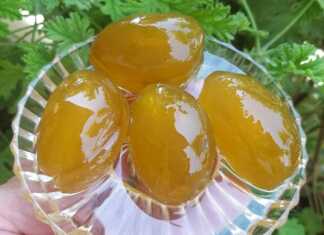 Γλυκό του Κουταλιού Δαμάσκηνο